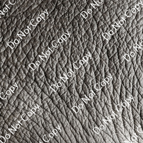 CDS Custom Printed Vinyl | Wild Animal Pattern 5