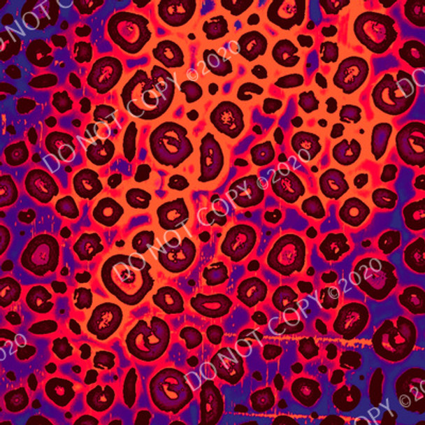 CDS Exclusive Printed Vinyl | Funky Cheetah 34