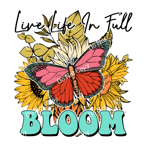 ColorSplash Ultra | MH Bloom CF 1
