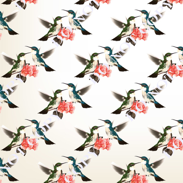 HBAS Humming Birds 14