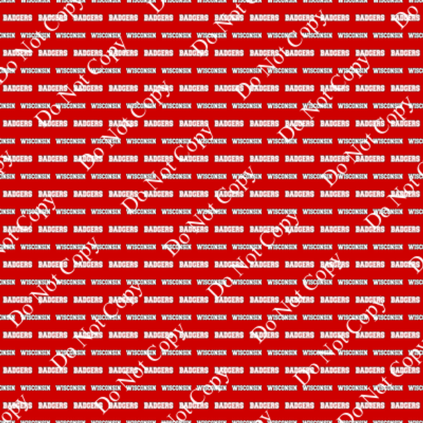 Go Badgers 11