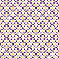 最新☆迷彩柄☆LSUカレッジパーカー！☆LSU Tigers☆お早めに！ 最新☆迷彩柄☆LSUカレッジパーカー！☆LSU Tigers☆お早めに！