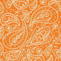 『TEN PAISLEY S/S ORANGE S』 Orange Paisley Tie and Pocket Square Set | Gentleman's Guru