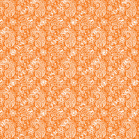 『TEN PAISLEY S/S ORANGE S』 OrangePaisley-5__08084.