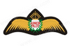 Junior Pilot Wings Iron Patch