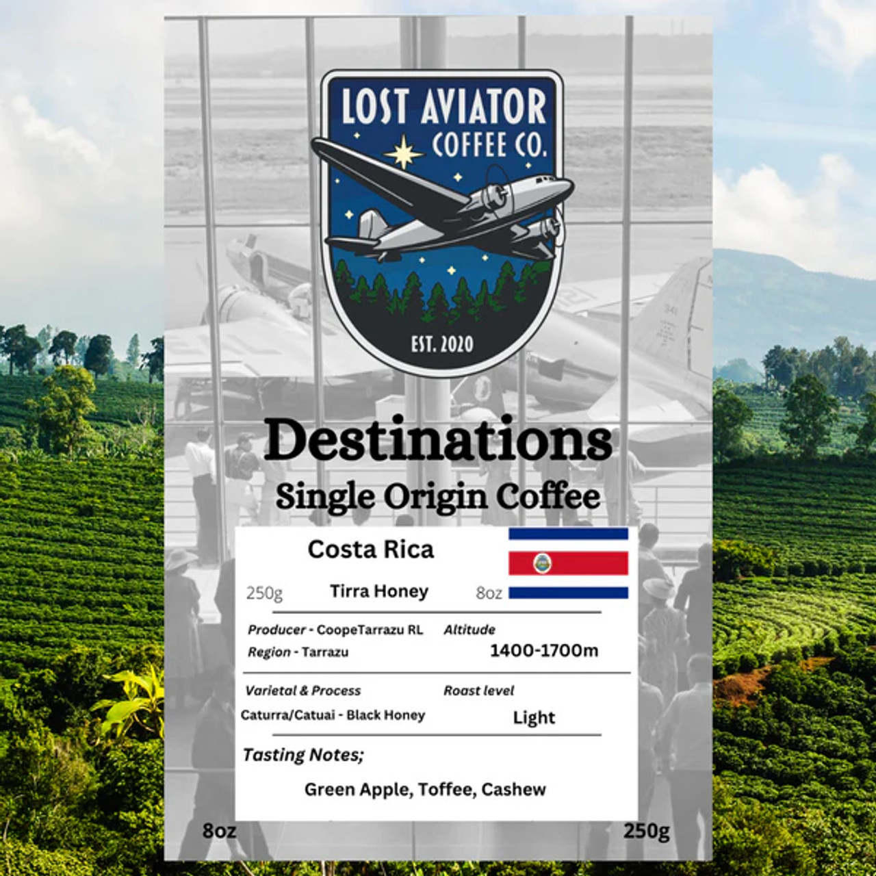 Lost Aviator Costa Rica Coffee (Light Roast - Ground)
