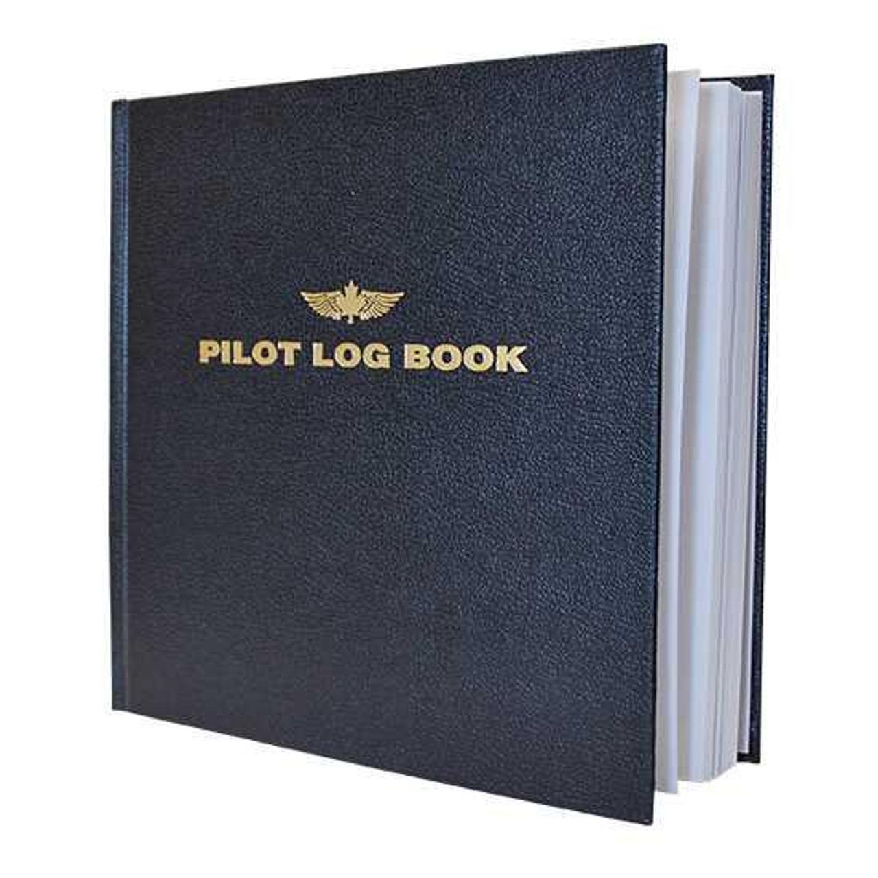 lost pilot logbook