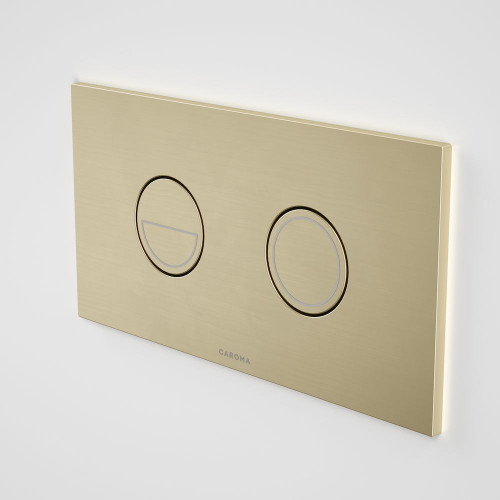Invisi Series II Flush Plate and Buttons Round Dual Buttons Brushed Brass 237088BB