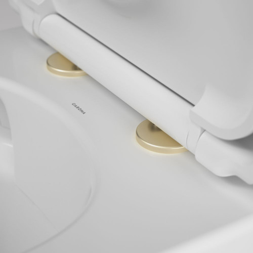 Urbane II Toilet Seat Hinge Caps Brushed Brass 254213BB