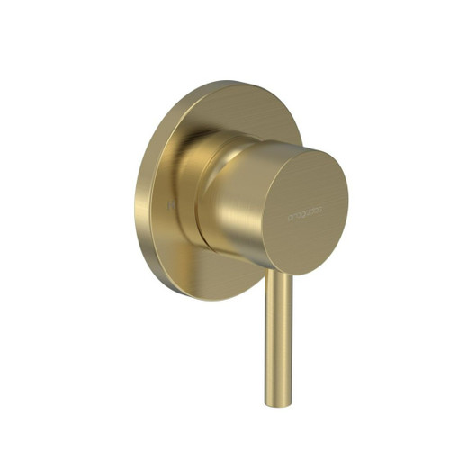 Tube Shower Mixer Brushed Brass