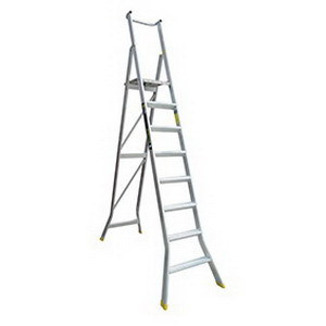 Platform Ladder 8 Steps WHPL08