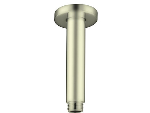 Round Ceiling Arm 100mm Length Brushed Gold