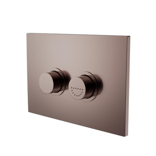 Mecca Care Flush Buttons Plate Brushed Bronze Raised Disabled Care Pneumatic DDA Compliant