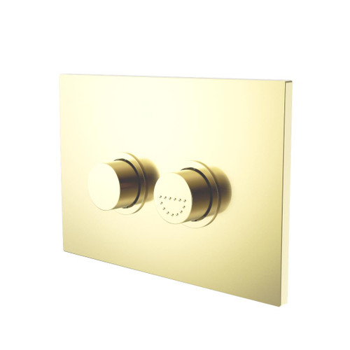 Mecca Care Flush Buttons Plate Brushed Gold Raised Disabled Care Pneumatic DDA Compliant
