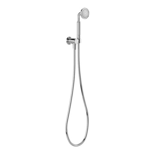 Wiltern Hand Shower Chrome