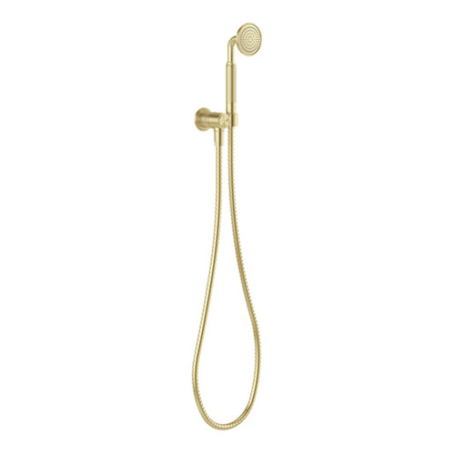 Wiltern Hand Shower Brushed Gold