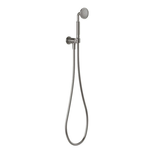 Wiltern Hand Shower Brushed Carbon