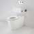 Main Image Cleanflush Invisi Series II Toilet Suite Cleanflush Wall Faced Invisi Series II with Backrest 718300BW