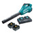 Brushless Variable 6-Speed Blower Kit 36V 5Ah DUB362PT2