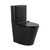 Back to Wall Toilet Suite Matte Black Snubby-MB