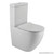 Zen Toilet Suite Rimless Overheight Back To Wall ZEN62.SL