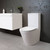 Evora Back To Wall Toilet Suite Rimless With Slim Seat
