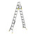 Warthog Dual Purpose Ladder 10 Steps 3.0m x 5.7m 150kg
