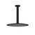 Tube Round Ceiling Mount Rainhead 250mm Matt Black