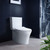 Veil Back To Wall Toilet 2 Piece With Double Slim Seat 23623A-0
