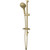 Rome Hand Shower With Rail Set Classic Gold