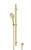 Urban Slide Shower Brushed Brass