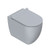Sfera Floor Toilet Suite 540 x 350mm Matte Cement Concealed Inlet VPS54RSL.CS