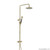 Buddy Shower Column Brushed Brass Organic