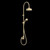 Regal Shower Column Raw Brass Organic
