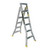 Double Sided Ladder 6 Steps 1.8m-3.3m 180kg WHSE06