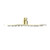 250mm Round Stainless Steel Shower Head 4 Star Rating Brushed Gold