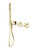 Opal Progressive Shower System Separate Plate Brushed Gold