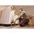 Fatmax Tradelift Single FMHT83550-1