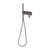 Gloss MKII Wall Shower System Brushed Carbon
