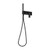 Teel Wall Shower System Matte Black