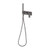 Teel Wall Shower System Brushed Carbon