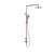 Mecca Care Twin Shower Set 25mm Grab Rail 900mm Brushed Bronze
