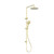 Round Twin Shower Brushed Gold