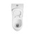 Eddy Rimless Toilet Gloss White