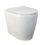 Niche Toilet Suite Floorstanding White Gloss Round Matte Black Push Plate