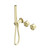 Serenity Progressive Shower System With Metal Handle And Slim Shower Brushed Gold
