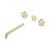 Serenity Wall Basin Set 220mm Spout With Metal Handle Trim Kit Only Brushed Gold