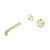 Serenity Progressive Wall Basin Mixer 160mm Spout With Metal Handle Trim Kit Only Brushed Gold