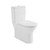 Tivoli Back To Wall Toilet Suite Rimless Raised Height