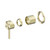 Dolce II Shower Mixer Trim Kits Only Brushed Gold